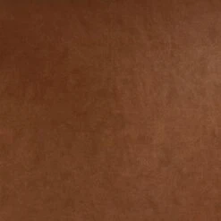 2pk Bowden Dining Chair With Arms Caramel Faux Leather - Project 62™ -Project 62 GUEST 02f52629 0188 4088 8b4c 5ef15f70b457