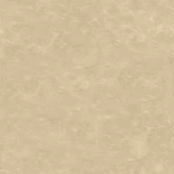 2pk Bowden Faux Leather And Metal Dining Chairs Natural - Project 62™ -Project 62 GUEST 0d6e1b42 49a9 4398 915f e3357eb3f975