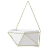 Succulent Wall Geometric Hanging White/Gold - Project 62™ -Project 62 GUEST 37fb8570 d26e 496d a3fc 962f6ba1f2e3
