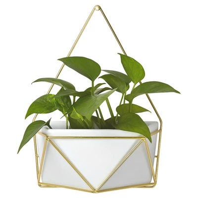 Succulent Wall Geometric Hanging White/Gold - Project 62™ 3 Succulent Wall Geometric Hanging White/Gold - Project 62™ - Image 2
