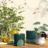 30oz Cylindrical Ceramic Arch 2-Wick Citronella Candle Deep Green - Project 62™ 1 30oz Cylindrical Ceramic Arch 2-Wick Citronella Candle Deep Green - Project 62™ -Project 62 GUEST a3572f6e a8bb 45a6 bdf8 728ecbe29728